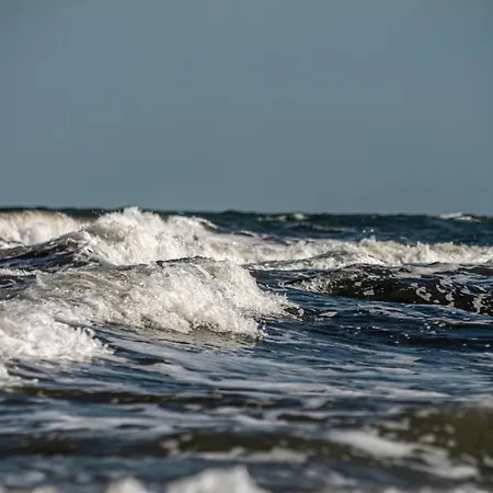 Born - Schwedenhus Og-whg. Wi-4.2