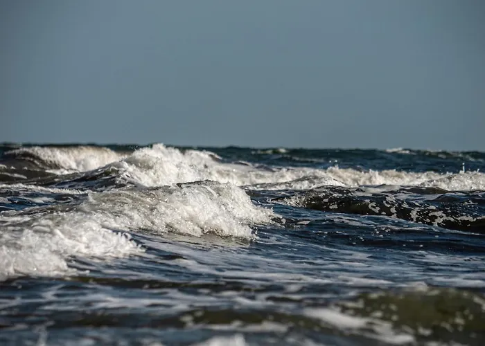 Born - Schwedenhus Og-whg. Wi-4.2